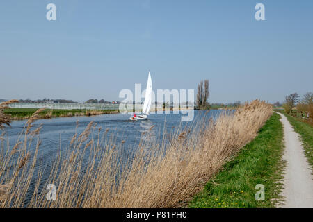 Bateau à voile sur le Vlaardingervaart. Ce canal est un ancien canal de drainage (datant d'avant 1250) et aussi un voyage à vélo. Près de Rotterdam, t Banque D'Images