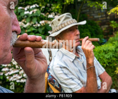Gros plan de deux hommes âgés assis dans des chaises longues dans un jardin d'été profitant de fumer un cigare cubain, Angleterre, Royaume-Uni Banque D'Images