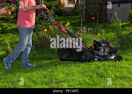 Un homme dans le jardin l'herbe avec des coupes d'une tondeuse équipée d'un 175 CC à quatre temps. moteur à essence. Banque D'Images