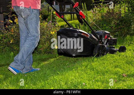 Un homme dans le jardin coupe l'herbe avec une tondeuse équipée d'un 175 CC à quatre temps. moteur à essence. Banque D'Images