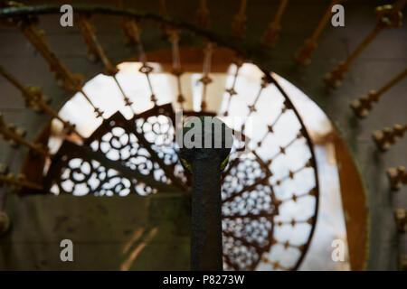 Magnifique escalier en colimaçon avec main courante old rusty Banque D'Images