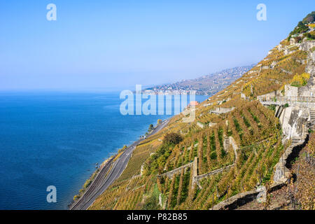 Vue sur le lac Léman de Lavaux. Le Lavaux est une région dans le canton de Vaud en Suisse, dans le district de Lavaux-Oron. Banque D'Images