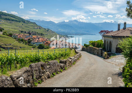 Vue sur un petit village appelé winery Rivaz, dans la magnifique région viticole de Lavaux en Suisse Banque D'Images