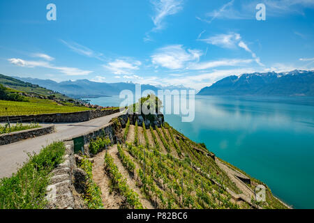 Vignoble de Lavaux, Patrimoine Mondial de l'UNESCO. Vue sur la terrasses et lac Léman en Suisse Banque D'Images