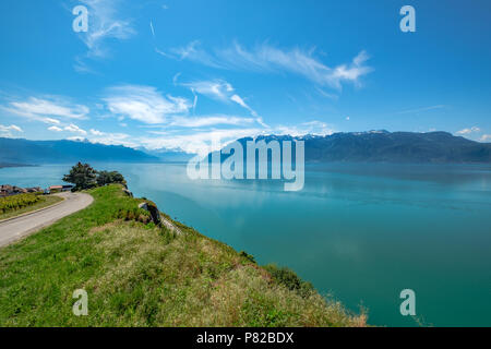 Vue sur le lac de Genève en direction de Montreux de la magnifique région viticole de Lavaux terrasses en Suisse Banque D'Images