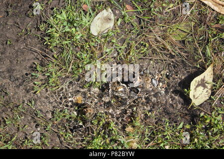 L'eau bouillonnante de la masse à la North Park Village à Chicago, Illinois, un jour d'été. Banque D'Images