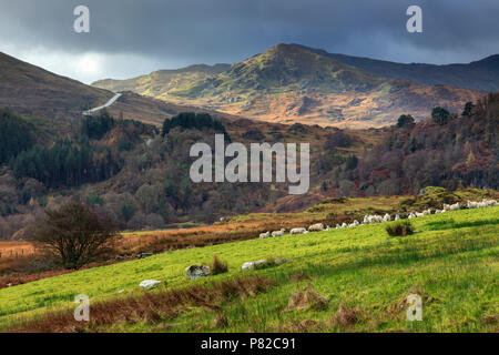 La plage de Prestatyn Valley dans le parc national de Snowdonia. Banque D'Images