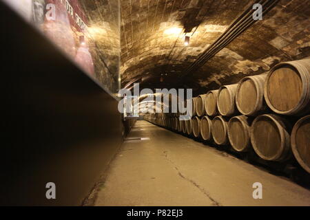 Rangée de vieux barils pour le vieillissement du vin dans la cave Banque D'Images