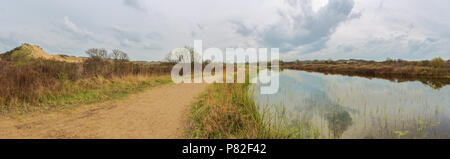 Vue panoramique dans la réserve naturelle de Westhoek avec les dunes et la mare Banque D'Images