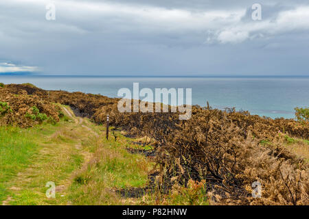 HOPEMAN SCOTLAND MORAY en regardant vers le Moray Firth ET DOUCHE DE PLUIE VENANT EN SENS INVERSE LES DOMMAGES CAUSÉS À LA VÉGÉTATION de forêt a brûlé l'ajonc LE LONG DE LA CÔTE DE MORAY TRAIL Banque D'Images