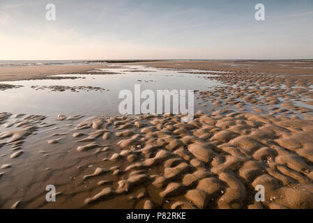 Verachtelijk Noordzeekust côte de la mer du Nord, de l'eau à marée basse Banque D'Images