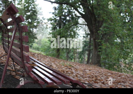 Banc de parc Une journée d'automne au Royal Botanic Gardens de Melbourne. Banque D'Images