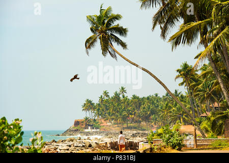 Un homme marche sur une plage magnifique et relaxant entouré par le vert des palmiers au coucher du soleil. Munnar, Kerala, Inde. Banque D'Images