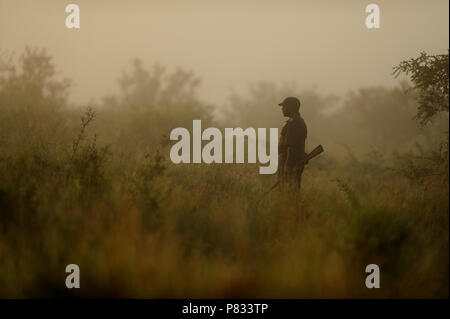 Ranger dans les savanes de la faune Banque D'Images