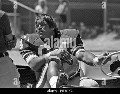 Rocklin, Californie, USA. 3e août 1982. San Francisco 49ers training camp le 3 août 1982 à Sierra College, Rocklin, en Californie. San Francisco 49ers linebacker Jack Lee Reynolds Crédit : Al Golub/ZUMA/Alamy Fil Live News Banque D'Images