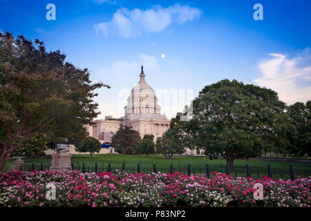 Le bâtiment du Capitole, qui abrite le Sénat et la Chambre des représentants des États-Unis sur le National Mall, Washington, DC. Banque D'Images