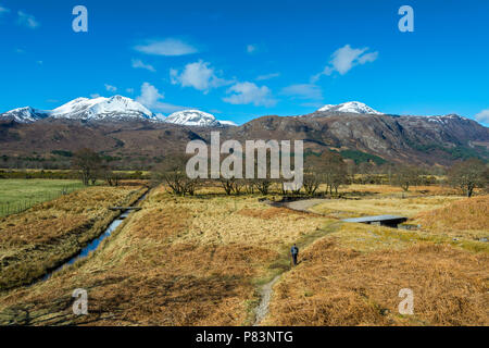 La gamme Beinn Eighe et Meall une Ghiuthais" (887m) de la voie ferrée à Loch Maree, près de Kinlochewe, région des Highlands, Ecosse, Royaume-Uni Banque D'Images