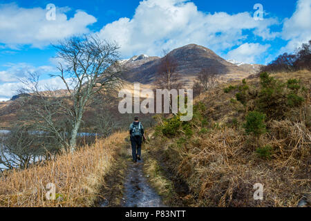 Slioch (980m) et Sgùrr Dubh (738m) de la voie ferrée à Letterewe, par le Loch Maree, près de Kinlochewe, région des Highlands, Ecosse, Royaume-Uni Banque D'Images