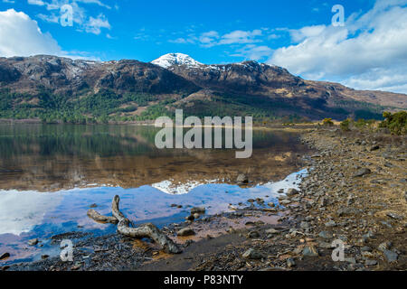 Meall une Ghiuthais" (887m) de la voie ferrée à Letterewe, sur le Loch Maree, près de Kinlochewe, région des Highlands, Ecosse, Royaume-Uni Banque D'Images