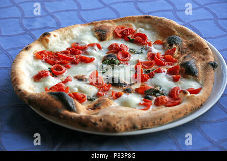 Pizza aux tomates cerises fraîchement cuits sur bleu table cloth, Ischia, Italie, Europe Banque D'Images