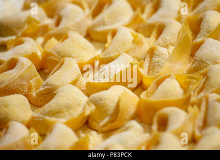 Matières premières rangées de parcelles de raviolis, Bologna, Italy, Europe Banque D'Images