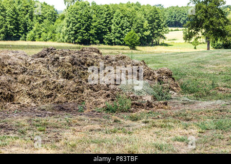 La bouse de vache d'engrais et de paille. Beaucoup d'excréments a été pris sur le terrain au début du printemps pour fertiliser les champs. Podlaskie, Pologne. Banque D'Images