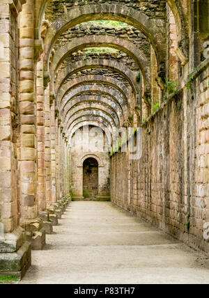 Bâtiment voûté romane en ruines de l'abbaye de Fountains près de Ripon dans le Yorkshire, UK Banque D'Images