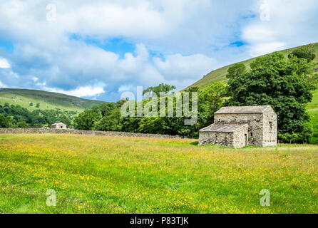 Prés fleuris et domaine des granges, près de la région de Muker Swaledale dans le Yorkshire Dales UK Banque D'Images