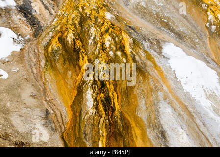 La Colline Old Faithful Geyser Yellowstone Banque D'Images