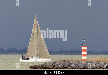 Zeilboot op IJmeer, voile de bateau sur l'IJmeer Banque D'Images