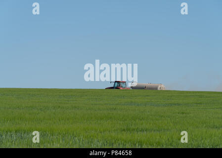 Le tracteur la pulvérisation de pesticides sur terrain au printemps Banque D'Images