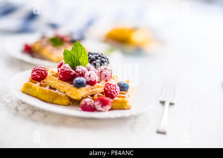 Des gaufres aux fruits rouges sucre glace ant les feuilles de menthe. Banque D'Images