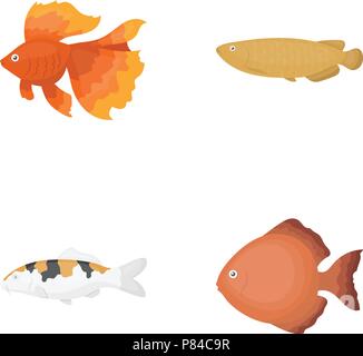 Lancer du disque, de l'or, de la carpe, koi, scleropages, fotmosus.Fish set collection icônes de style cartoon vector illustration stock symbol . Illustration de Vecteur