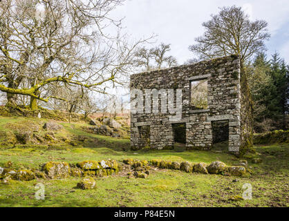 Les ruines de Middleworth ferme, abandonné lorsque Burrator a été construit en 1898. Banque D'Images