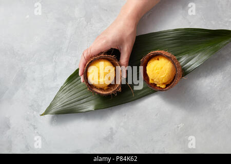 Une main de la jeune fille est titulaire d'une coque de noix de coco avec un sorbet mangue sur une feuille verte sur un fond de béton gris. Vue d'en haut Banque D'Images