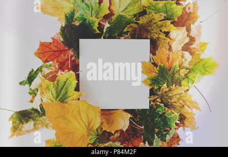 Papier blanc avec des feuilles colorées d'automne sèche sur un fond blanc, haut Vue, télévision lay Banque D'Images