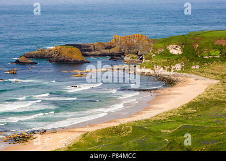 Royaume-uni, Irlande du Nord, Co Antrim, côte rocheuse à l'extrémité orientale de Banque D'Images