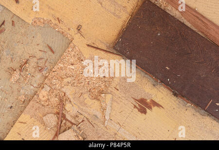 Briser un plancher en bois massif dans une maison Banque D'Images