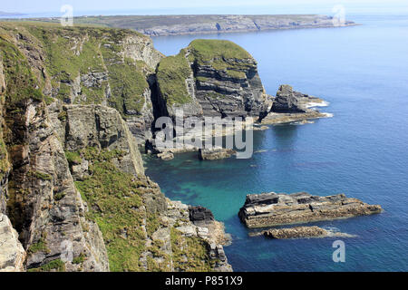 Côte d'Anglesey près de la réserve RSPB South Stack Banque D'Images