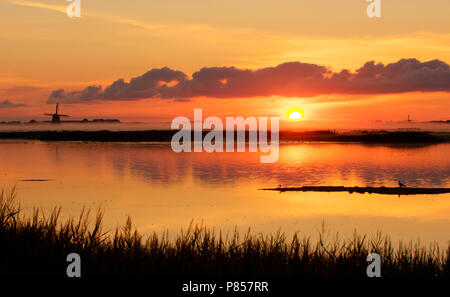 Natuurgebied Zonsopgang bij de Putten, lever du soleil à réserve naturelle de Putten Banque D'Images