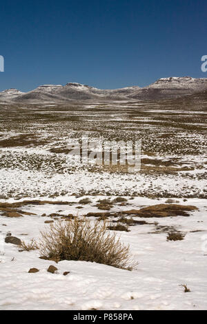 Drakensbergen, Lesotho Banque D'Images