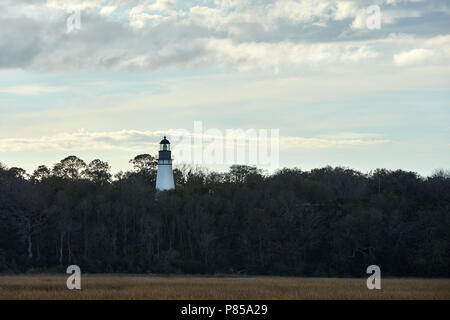 Amelia Island Lighthouse dépassant les arbres Banque D'Images