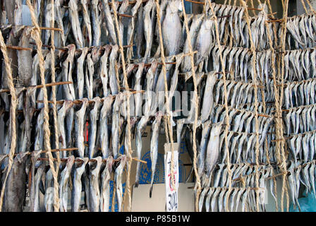 Le poisson séché à un marché japonais Banque D'Images