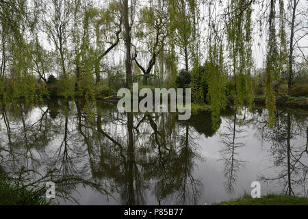 Paysage de la réflexion à Giverny, France. Image de les jardins de Monet. Banque D'Images