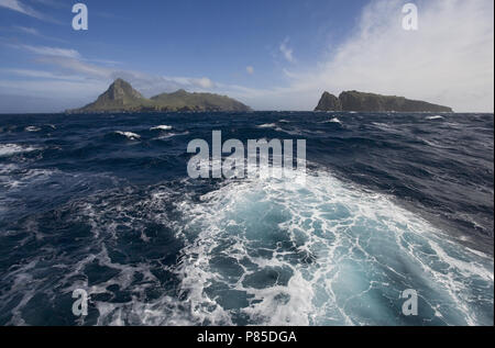 Nightingale île Tristan da Cunha, Océan Atlantique ; Nightingale île Tristan da Cunha, Atlantische Oceaan Banque D'Images