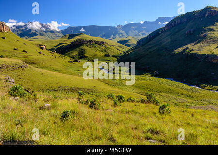 Image paysage pittoresques en plein air d'Afrique du Sud vue panoramique vue panoramique Drakensberge nature - Château de géants green large panorama avec sunny blue sky Banque D'Images