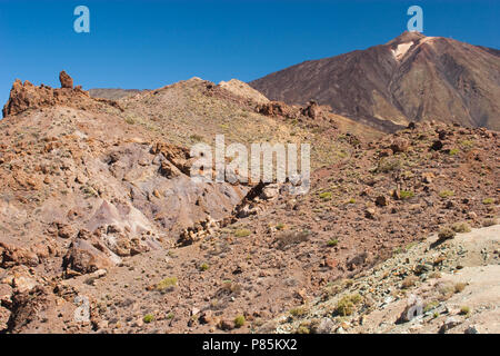 Landschap Ténérife Ténérife les paysages ; Banque D'Images