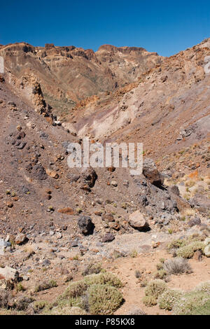 Landschap Ténérife Ténérife les paysages ; Banque D'Images