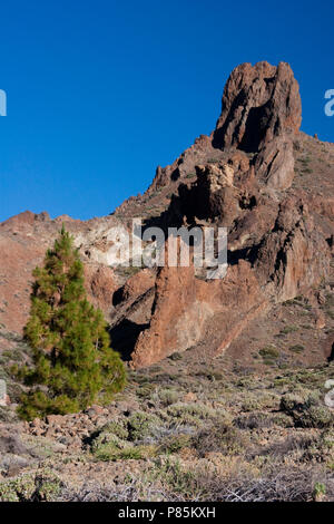 Landschap Ténérife Ténérife les paysages ; Banque D'Images