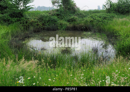 Paysage de Polder Doort, Pays-Bas Banque D'Images